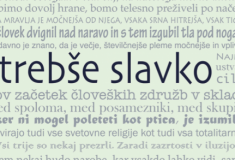 Slavko Trebše: Eseji (naslovnica)